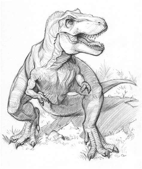 T Rex Cartoon Sketch