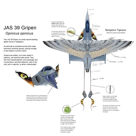 JAS 39 Gripen : r/Southbound