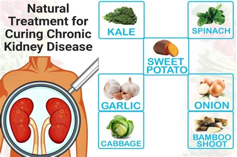 Natural Remedies for Kidney disease - Philadelphia Holistic Clinic