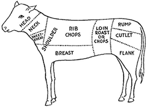 Veal - Veal is the name applied to the meat of young catle.