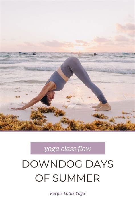 Downward Dog Yoga Class Sequence - Purple Lotus Yoga | Yoga Teacher Training