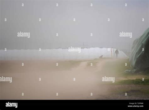 Wiesbaden, Germany. 02nd Apr, 2019. Sand is whirled up by the wind on a ...