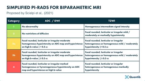 The basics of PI-RADS scoring and how AI can help