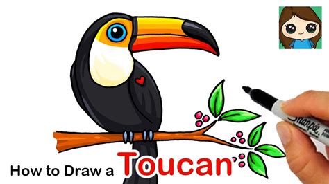 How to Draw a Toucan Bird - YouTube