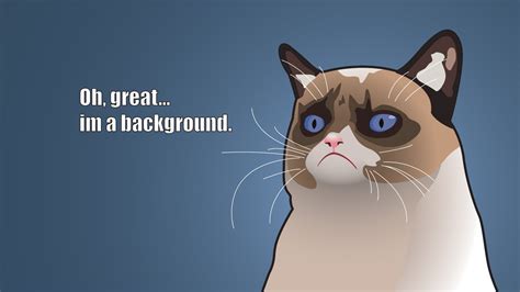 Grumpy Cat - Oh great... I'm a background HD Wallpaper | Achtergrond | 1920x1080