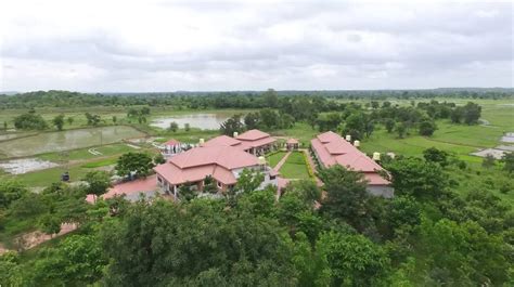 Wildcat Resort Tadoba: Luxury Stay in Tadoba