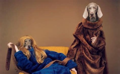 RCTC-Photo-I: Web Work 7 William Wegman