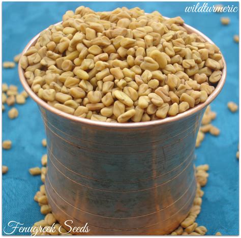 10 Top Health Benefits Of Fenugreek Seeds (Methi) - Wildturmeric