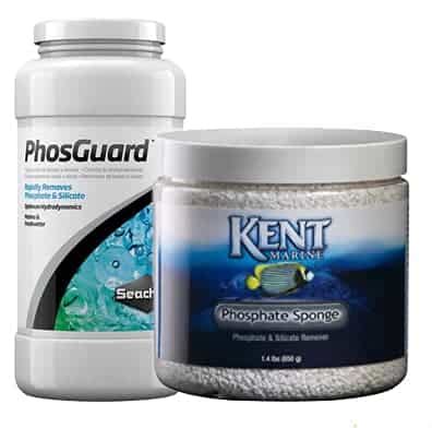 Phosphates in Reef Tanks - Shrimp and Snail Breeder