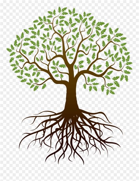 tree roots png 10 free Cliparts | Download images on Clipground 2023