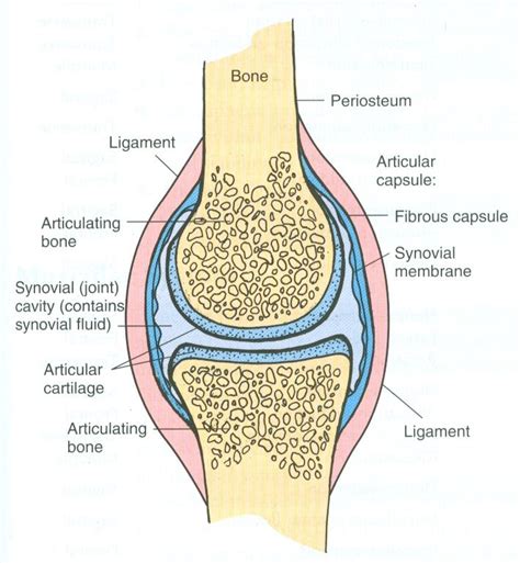 Pin on Chapter 9 - Joints