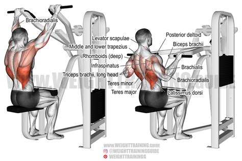 Tricep Pulldown Diagram