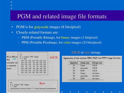 PGM Format CS474/674 – Prof. Bebis. - ppt download