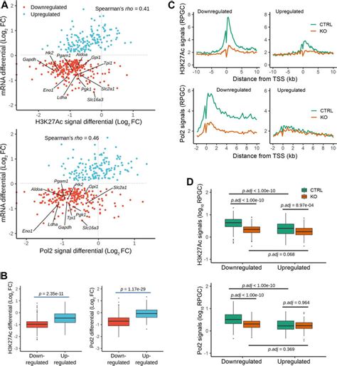 Chromatin immunoprecipitation (ChIP)-Seq analysis. (A) Scatterplots ...