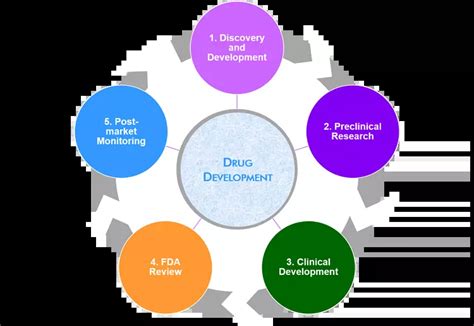 Drug Discovery, Drug Development Process | NorthEast BioLab