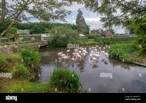 The Cotswolds in Gloucestershire Stock Photo - Alamy