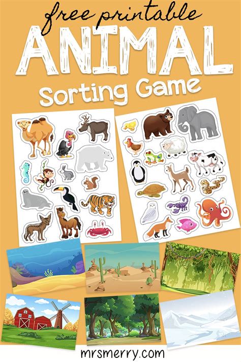 Mammals Activities, Animal Activities For Kids, Teaching Activities ...