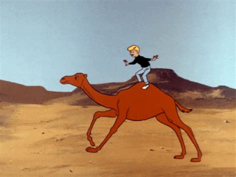 Cartoons Camel GIFs - Find & Share on GIPHY