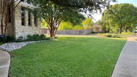 How to Choose the Perfect Turfgrass for Your Lawn - PlantTAGG Blog