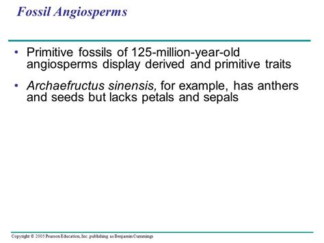 Copyright © 2005 Pearson Education, Inc. publishing as Benjamin Cummings PowerPoint Lectures for ...