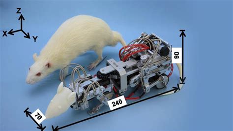 This Robotic Mouse Was Designed to Stress Out Real Mice