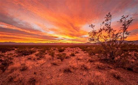 Image result for desert sunrise | Desert sunrise, Landscape photography, Sunrise