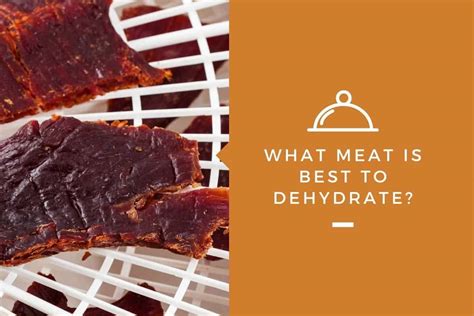 What Meat is Best to Dehydrate? – Kitchensnitches