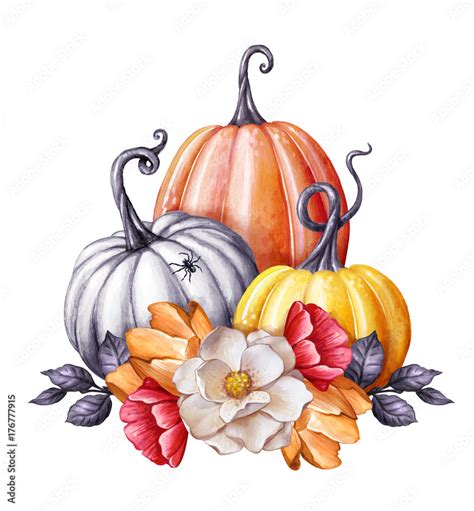 watercolor illustration, floral pumpkins, Halloween clip art, autumn ...