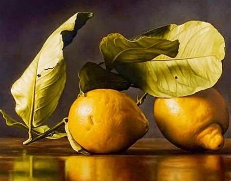 Imágenes Arte Pinturas: Cuadros De Limones, Mandarinas Y Naranjas