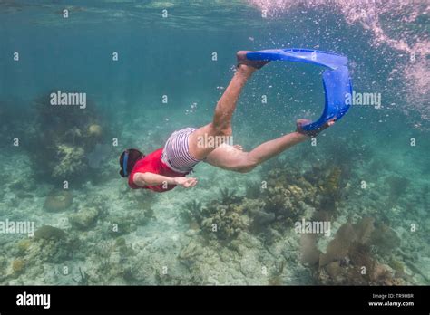 Woman snorkeling, Turneffe Atoll, Belize Barrier Reef, Belize Stock ...