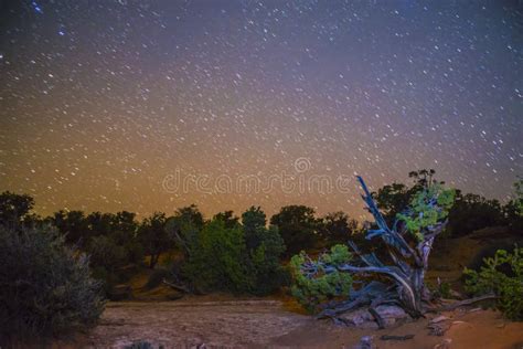 Desert Landscape at night stock image. Image of sandstone - 41443011