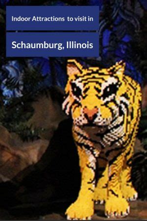 Indoor Attractions to Visit in Schaumburg, Illinois while in Illinois