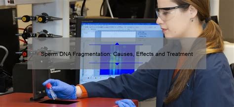 Sperm DNA Fragmentation: Causes, Effects and Treatment - Sperm.Blog