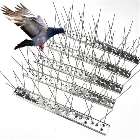 Bird Spikes for Small Birds,Bird Deterrent Spikes Stainless Steel Pigeon Spikes for Fence Roof ...