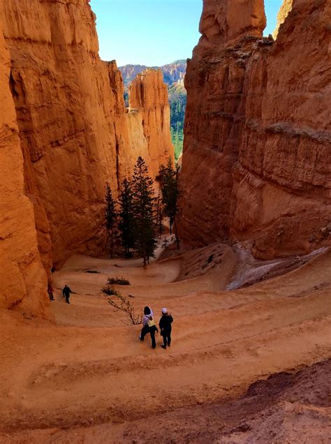 Heading down into the Navajo Loop trail in Bryce Canyon National Park ...