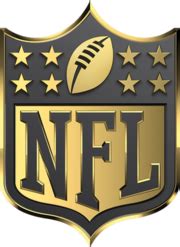 2015 NFL season - Wikipedia