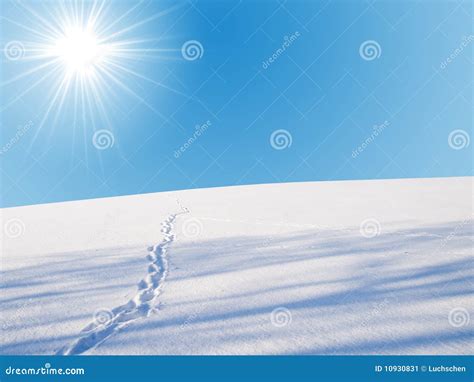 Skyline winter stock image. Image of beams, skyline, ecology - 10930831