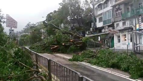 Photos: Massive clean-up in Hong Kong after Typhoon Mangkhut brings ...