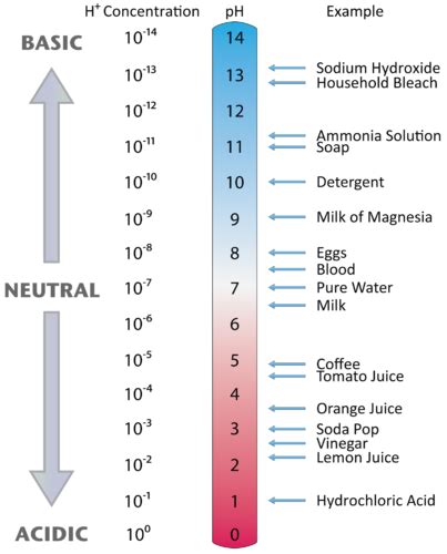 The pH Scale | Chemistry for Non-Majors | | Course Hero