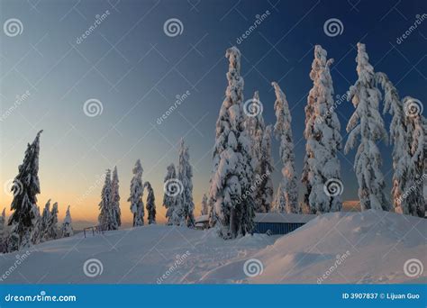 Mt. seymour at sunrise stock image. Image of north, seasonal - 3907837