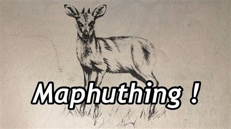 BASOTHO CLAN NAMES 🇱🇸 : SEBOKO SA MAPHUTHING ! 🦌 | Kekeletso Qhali - YouTube