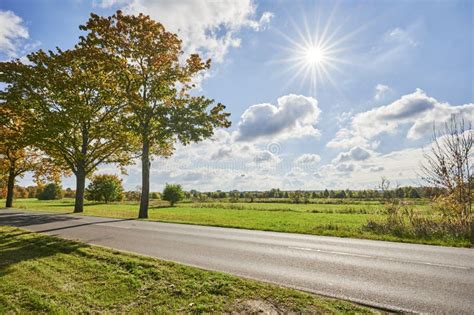 Landscape with an Avenue and Colorful Autumn Trees Stock Photo - Image ...