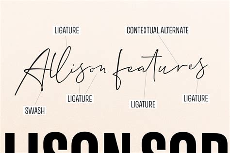 Allison Script Font · 1001 Fonts