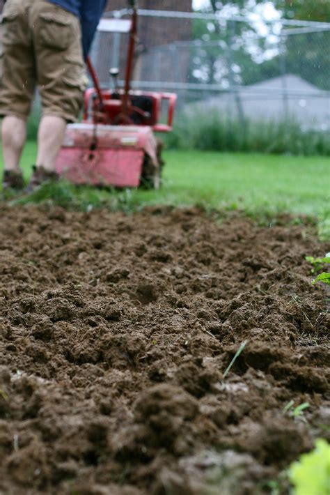 Tilling the Soil - Cynthia Occelli