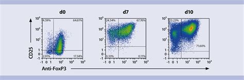 Regulatory T cells Mouse | Treg Cells & Markers | Handbook | Miltenyi ...