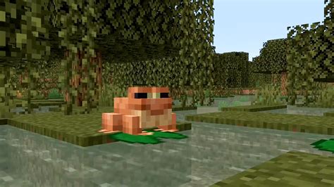 Minecraft frogs, how to breed, and where to find them | PCGamesN