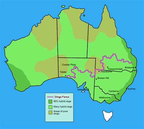 File:Dingo fence in Australia.PNG - Wikimedia Commons