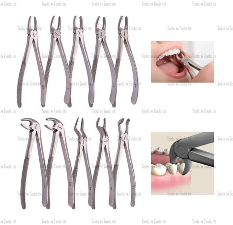 10 PIECE EXTRACTING FORCEPS SET DENTAL INSTRUMENTS TOOTH SURGERY S STEEL CE MARK - Tools N Tools UK