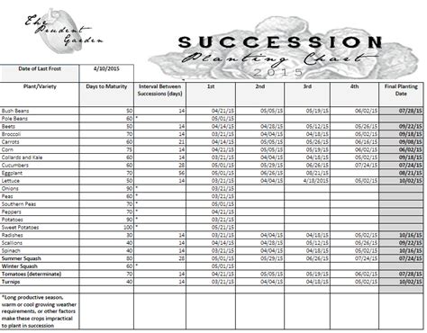 Succession Planting Guide