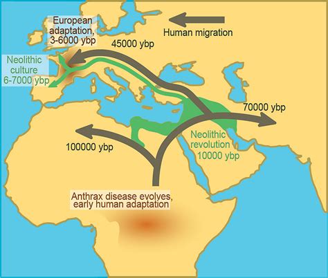 Uncovering the mechanisms of human-pathogen coevolution | Nature ...